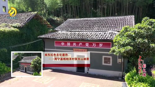 紅色閩東薪火傳 系列第十一集 周寧梧柏洋村 傳承革命精神 鄉村振興再啟程