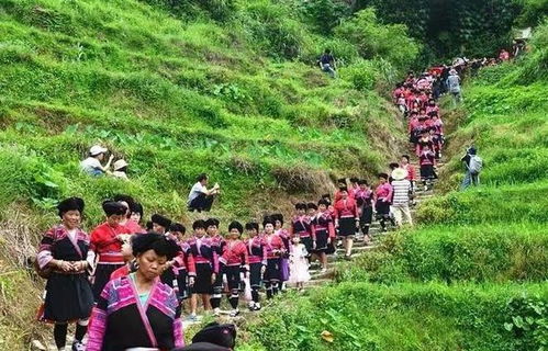 廣西與貴州交界處的 菇類村 ,女性衣著開放,以母系社會為主