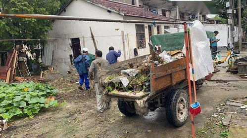 美麗系列創(chuàng)建丨嘉定新城 馬陸鎮(zhèn) 這個(gè)村用籬笆打造美麗 節(jié) 點(diǎn)