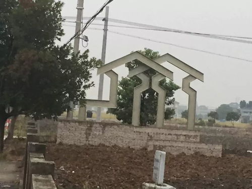 變化真的很大 不信你看 這么美的鄉(xiāng)村就在老余杭