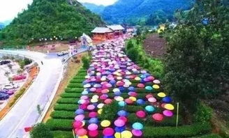 x 促銷促銷 寧波舟山三日特價(jià)399元 普陀之星游輪出海游 四星設(shè)施慈航 影秀酒店 高科技5d 大型甬秀演藝秀