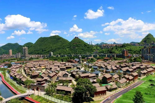 金色妥樂 粉黛花海 游世界古銀杏之鄉(xiāng),秘境彝族部落,豪嘆國際五星喜來登 0加點(diǎn)0購物