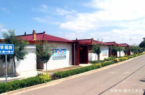 不想在外打工的農村人,適合在家做什么 看完不再迷茫