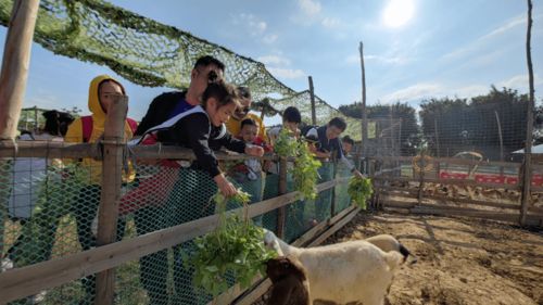 元旦假期 原始部落非洲鼓 diy印第安服飾 柑橘星球品玫瑰柑 篝火晚會烤全羊 入住溫泉小木屋