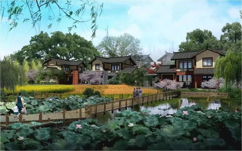 這些人的身價要上漲 雙流真的開始爆發啦