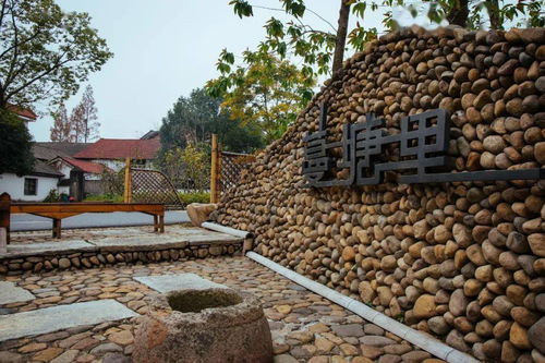 我和我的家鄉路 美麗鄉村在安吉,這條路照亮 大地之光