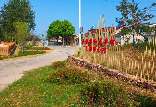 安徽和縣善厚鎮 奏響靚村行動 三部曲