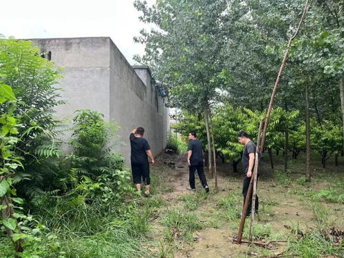 關注 他們這樣做