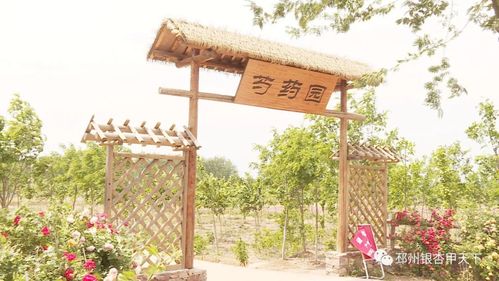 名單公布 徐州4個