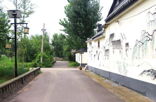 我家街巷最美 系列展示 汶上縣郭樓鎮古城村