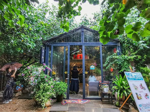 地球有南極,知道中國 南極 在哪里嗎 就在 隱秘的角落 取景地