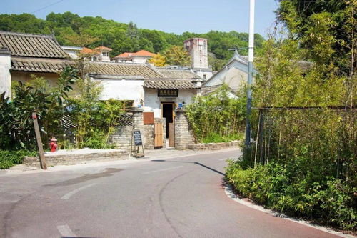 藝術村落系列節目 我在這兒的朋友 探訪鰲湖藝術村