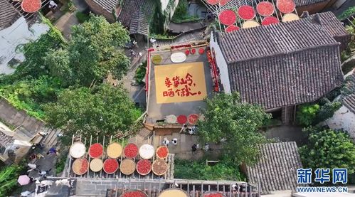 江西是個好地方 又到一年 曬秋 時 崖上古村入畫來