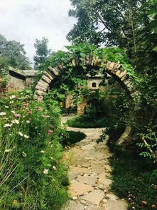 偷得浮生幾日閑 遁入山林避日炎 鞏義特色民宿遇見生活本真