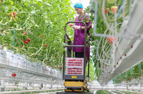 浙江這份成績單全國第一 數字鄉村建設走在前列