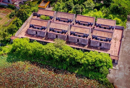 古勞這條村入選 廣東美麗僑村 快來(lái)pick它