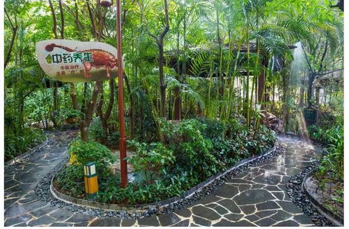 送大禮 七星級(jí)搶購(gòu) 僅 699元 套 入住增城健康山谷溫泉 別墅房 無(wú)限次露天養(yǎng)生溫泉 雨林部落 酒店豐盛自助早餐 大豐門(mén)景區(qū)