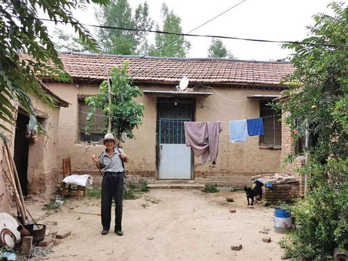 黃河安居夢(mèng) 系列報(bào)道⑦南賈家 利津的村臺(tái)人家