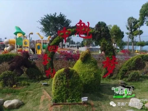 系列報(bào)道之八 溫州十大最美村莊馬站中魁村 花樹(shù)村邊合 青山郭外斜