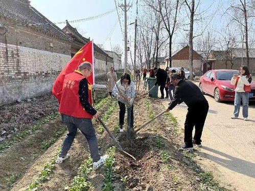 舞陽縣審計局 情系共建村 植樹添綠意