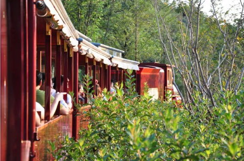 浙江省美麗鄉村建設和產業考察 安吉 臨安 桐廬 金華及莫干山站