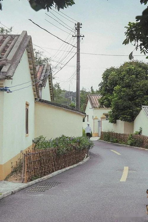 距離南寧很近的高顏值日系村莊,連名字都特別