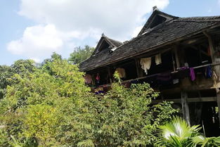 心情那么差,我想去西雙版納