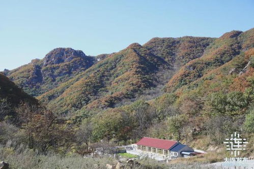 重磅推出 大連 詩畫 之路