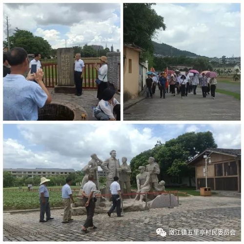 五里亭村開展 學(xué)講話 悟初心 踐行動 主題黨日系列活動