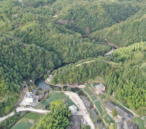 浙江首批 20個鎮(zhèn) 村 上榜這份名單,寧波這個地方上榜了