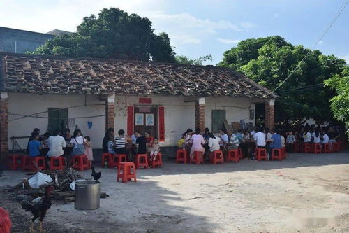 場面感人 石康鎮(zhèn)榕樹根村外嫁女集體回娘家團(tuán)聚,全村人大聯(lián)歡