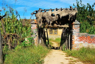 小游遼寧省鳳城市大梨樹村影視城 圖有點(diǎn)多,打開會稍慢,望諒解