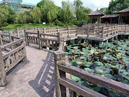 美麗和自信,就在這些景區(qū)村