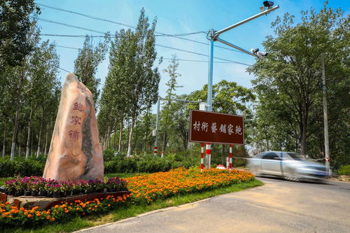 系列報(bào)道 北京鄉(xiāng)村振興故事 三 永定河畔的藝術(shù)村 大興區(qū)鮑家鋪村