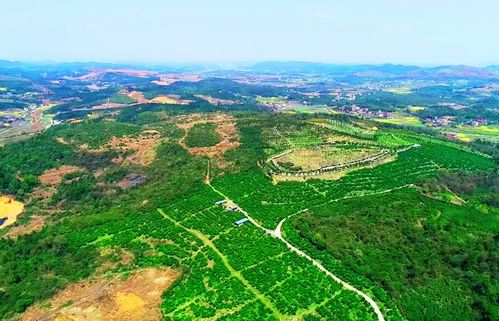 科技專家進(jìn)地頭 上好 新春第一課