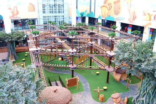 今天被擠爆 聊城 迪士尼 竟39.9元不限時全場通玩 明天我還來