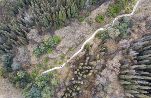 新華全媒 圖片故事 守護(hù)云南梅樹村 時光隧道 的老人