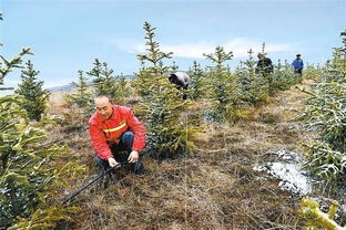 如期全面打贏脫貧攻堅戰(zhàn) 產(chǎn)業(yè)篇