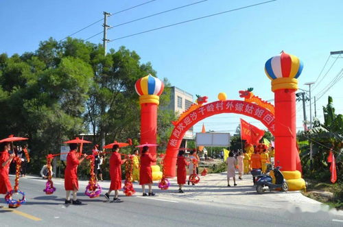 場面好溫馨 石康鎮(zhèn)沙子嶺村外嫁女集體回娘家敬老曖人心