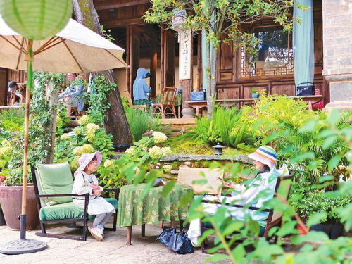 大理州加速文旅產(chǎn)業(yè)更新 破圈 魅力鄉(xiāng)村乘 風(fēng) 而起