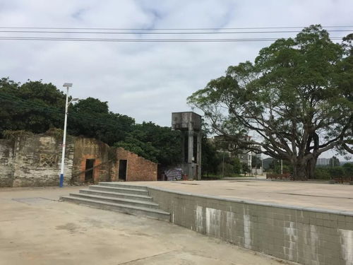 青春大學習 奮斗新時代丨國貿系尋跡村坊調研小組走訪鳳院村