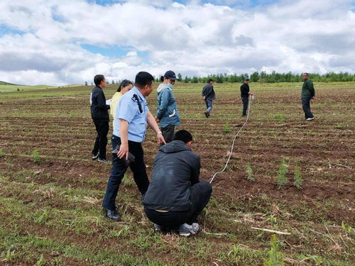 教育整頓 ▏讓為民辦實事成為教育整頓的 試金石 興安盟司法行政系統推動為民服務落實落細落地