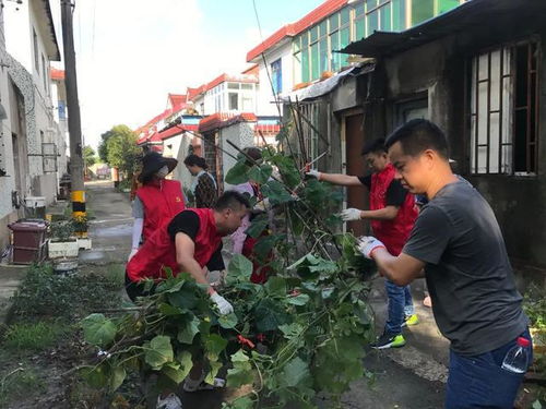 金山這個村有點牛