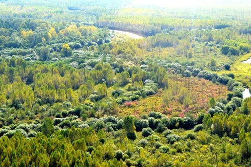 北極光節漠河住宿包車價格很高嗎 6月漠河天氣