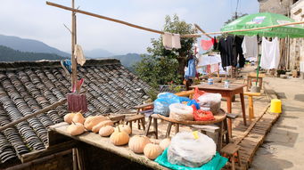徒步林間鄉道,看黃山最有特色的山野人家 休寧木梨硔 祖源