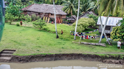 巴布亞新幾內亞游記 維外克 降落在土著部落