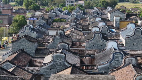 清遠(yuǎn)佛岡上岳村 以農(nóng)文旅為引領(lǐng),繪就典型村 振興圖