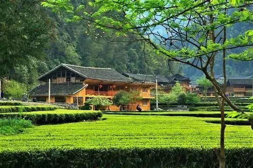 墅圖網(wǎng) 不在農(nóng)村住了,為什么還要在老家留一棟房子