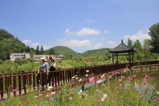游泳 賞花 摘果 畢節(jié)周邊這些地方太好玩啦 嗨翻一夏
