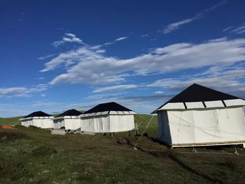 曾經(jīng)的若爾蓋黑帳篷部落已更名為 棲山.黑帳篷營(yíng)地,新?tīng)I(yíng)地可露營(yíng),看星星